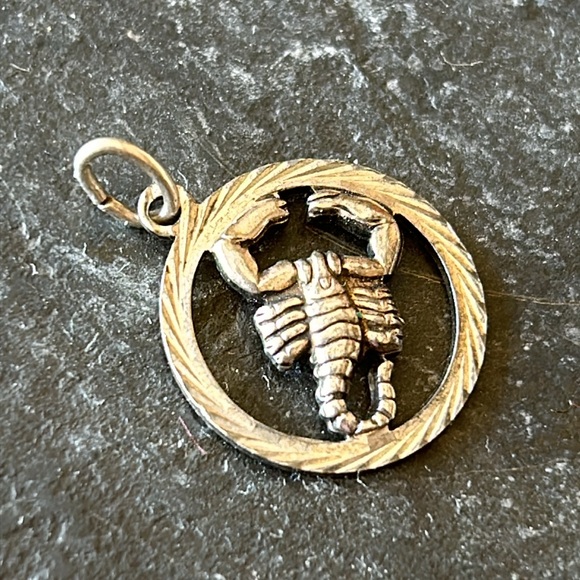 Vintage EuropeanSilver Scorpio Pendant/Charm - Picture 4 of 6